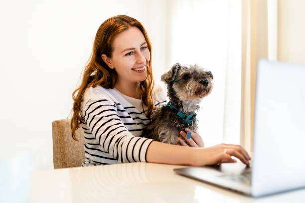 Woman working from home, dog sitting on her lap. lamp shades